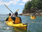 Sydney Harbour Kayaks - Grafton Accommodation 1