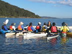 Sydney Harbour Kayaks - Grafton Accommodation 2