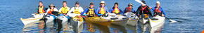 Sydney Harbour Kayaks - Grafton Accommodation 3