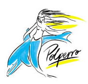 Polperro Dolphin Swims - Grafton Accommodation