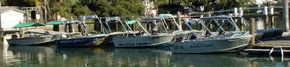 Brooklyn Central Boat Hire & General Store - Grafton Accommodation 1
