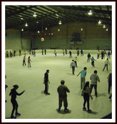 Bendigo Ice Stadium - Grafton Accommodation 1