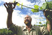 Barossa Valley SA Grafton Accommodation