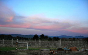 Buller View Wines - Grafton Accommodation 1