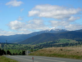 Buller View Wines - Grafton Accommodation 2