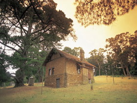 Heysen - The Cedars - Grafton Accommodation 0