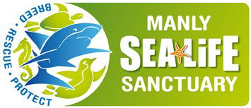 Manly SEA LIFE Sanctuary - Grafton Accommodation 0