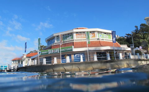 Manly SEA LIFE Sanctuary - Grafton Accommodation 2