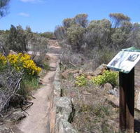 Christmas Rock Walk - Grafton Accommodation