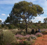 Karlkurla Bushland Park - Grafton Accommodation