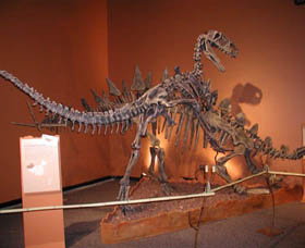 Denmark Dinosaur World - Grafton Accommodation 0