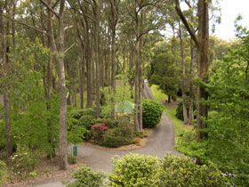 Mount Lofty Botanic Garden - Grafton Accommodation 0