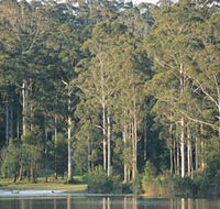 Big Brook Dam - Grafton Accommodation