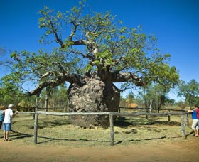 Pigeon Heritage Trail - Grafton Accommodation 0