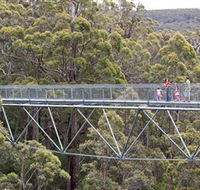 Walpole Wilderness Discovery Centre - Grafton Accommodation