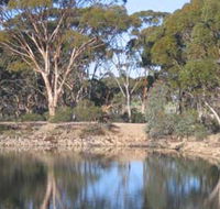 Merredin Railway Dam