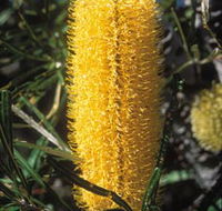 Moore River National Park - Grafton Accommodation