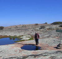 Dingo Rock - Grafton Accommodation