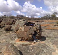 Gathercole Nature Reserve - Grafton Accommodation