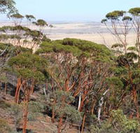 Mount Matilda Walk Trail Wongan Hills - Grafton Accommodation