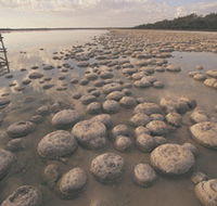 Yalgorup National Park - Grafton Accommodation