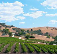 Bethany Wines - Grafton Accommodation
