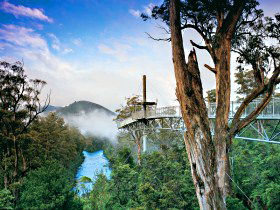 Geeveston TAS Grafton Accommodation