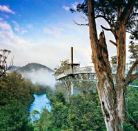 Tahune Adventures Tasmania - Grafton Accommodation