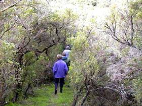 Jack And Hilda McArthur Walk - Grafton Accommodation 0