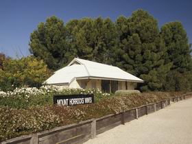 Mount Horrocks Wines And The Station Cafe - Grafton Accommodation 0