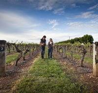 Coonawarra Wineries Walking Trail - Grafton Accommodation