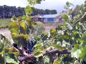 Zimmermann Wine - Grafton Accommodation 0