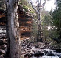 Mount Remarkable National Park - Grafton Accommodation