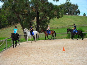 Megan Jones Riding School And Trail Rides - Grafton Accommodation 0