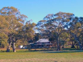 Wilpena Pound SA Grafton Accommodation