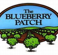 The Blueberry Patch - Grafton Accommodation