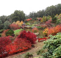 Emu Valley Rhododendron Garden - Grafton Accommodation