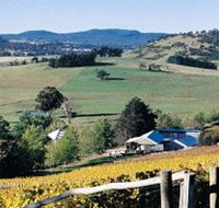 Freycinet Vineyards Pty Ltd - Grafton Accommodation