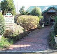 Two Oaks Nursery Gallery and Cafe - Grafton Accommodation