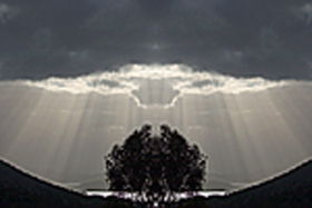 Aart. Gallery Of Fine Art - Grafton Accommodation 0