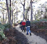 Bridport Walking Track - Grafton Accommodation
