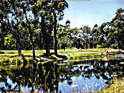 Book Smithton TAS Attractions Grafton Accommodation Grafton Accommodation