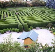 Westbury Maze and Tea Room - Grafton Accommodation
