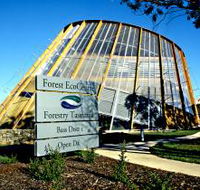 Forest EcoCentre - Grafton Accommodation