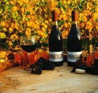 Craigow Vineyard - Grafton Accommodation