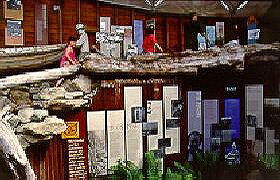 West Coast Visitor Information And Booking Centre - Grafton Accommodation 0