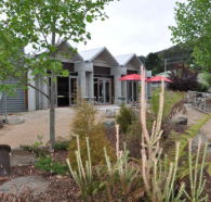 Tin Dragon Interpretation Centre and Cafe - Grafton Accommodation