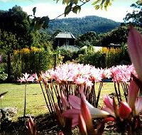 Blueberry Cottage Open Gardens - Grafton Accommodation