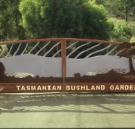 Tasmanian Bushland Garden - Grafton Accommodation