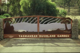 Tasmanian Bushland Garden - Grafton Accommodation 0